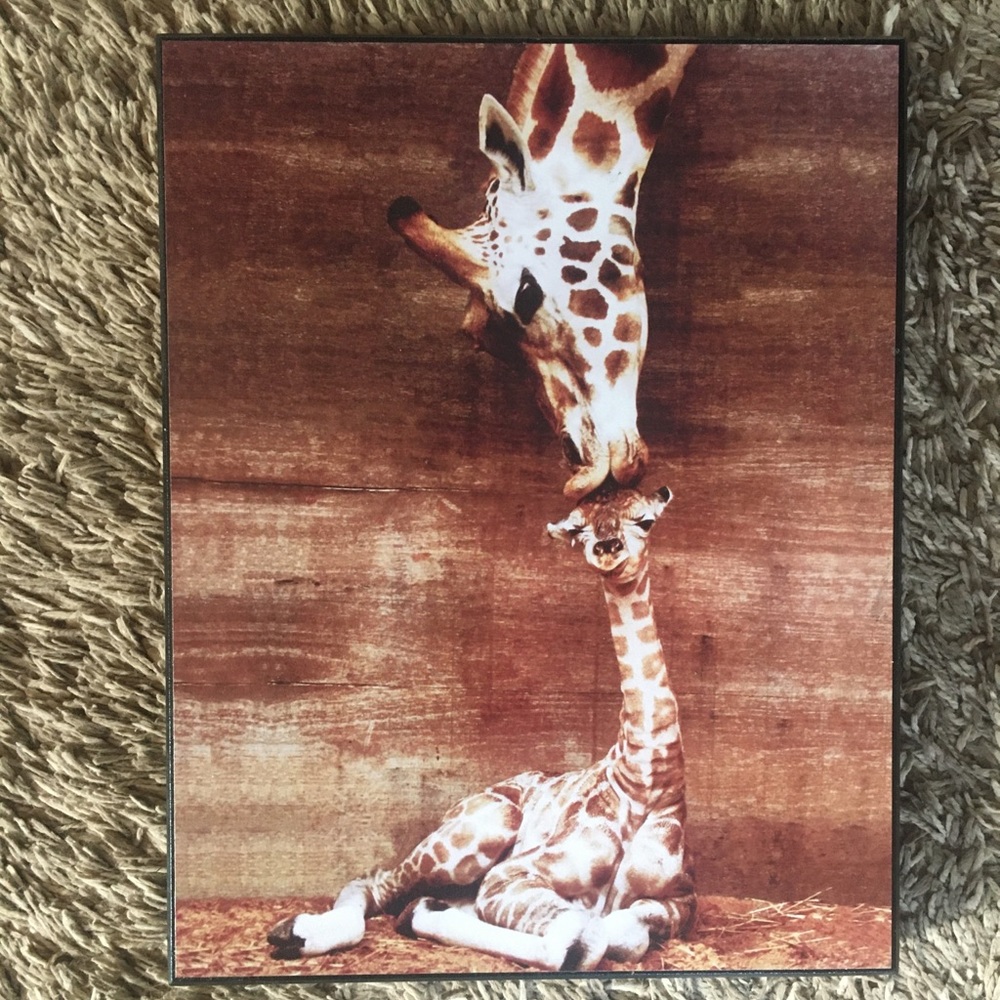 Giraffe wall decor